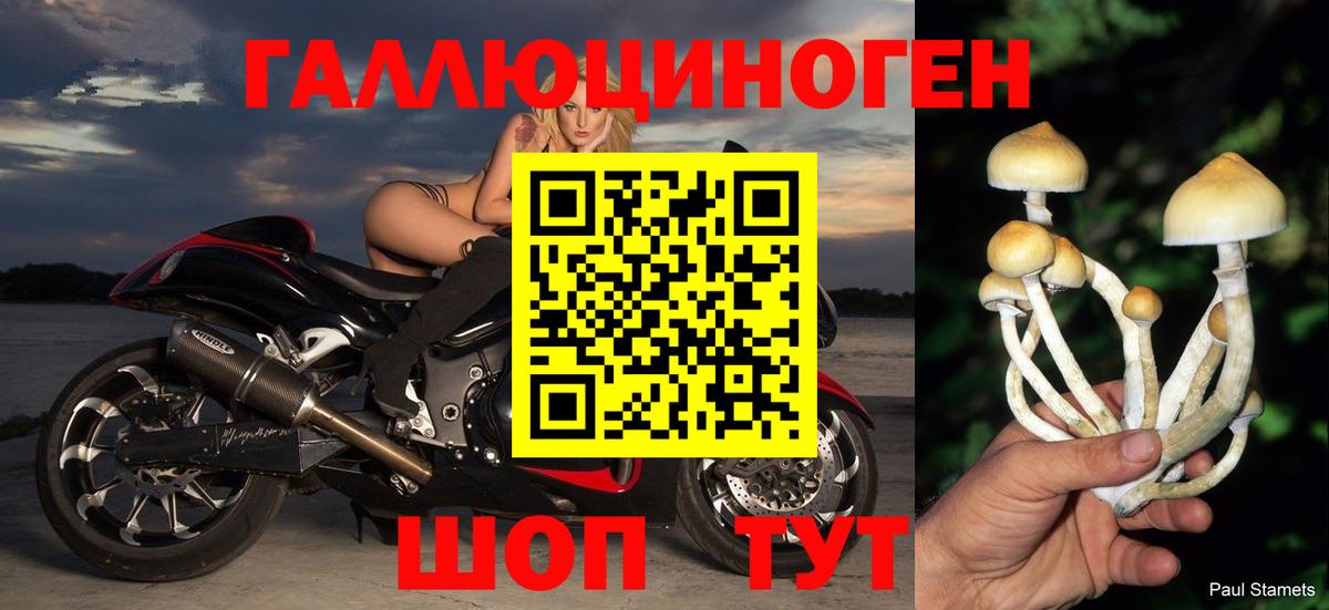 Псилоцибиновые грибы мицелий Нарткала